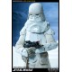 Star Wars Snowtrooper Sixth Scale Figure 30cm